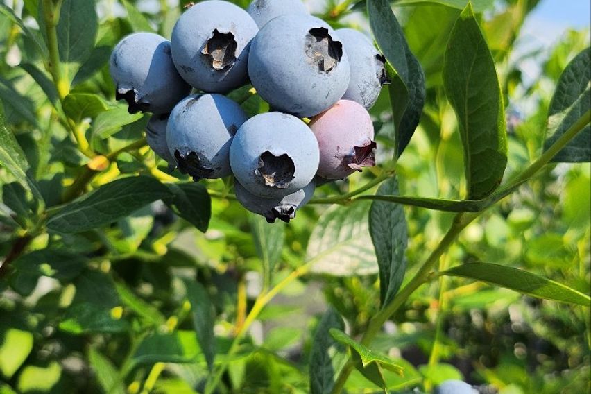 경주역33평첫입주APT