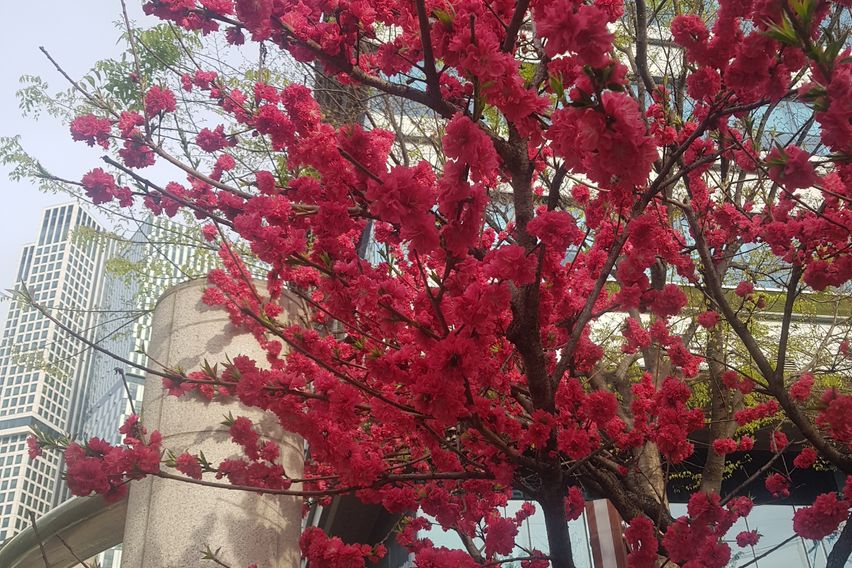 고시원 4번째 이미지