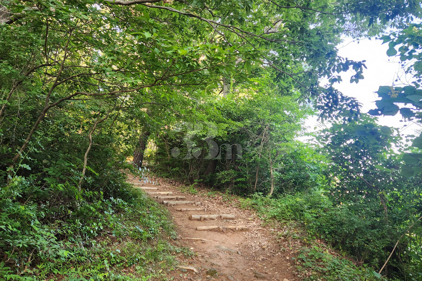 Geoje Island Short-term Rental: Woojungbang 15th image