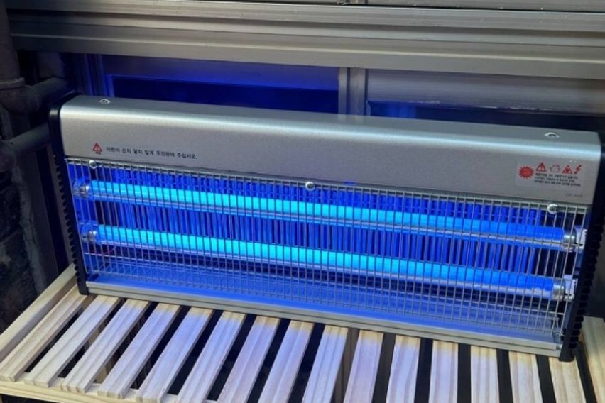 제이하우스 4호