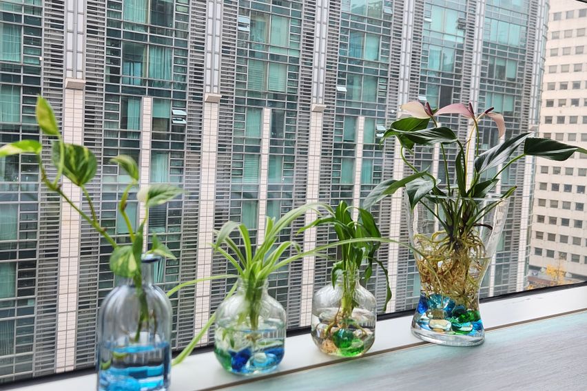 광화문/경복궁 꿀잠 