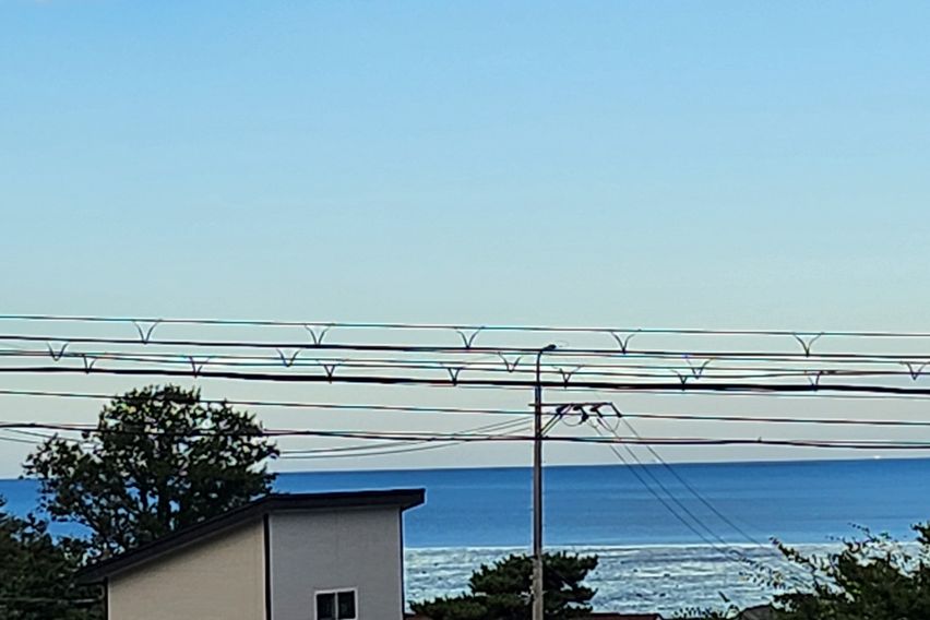 강화도 펜션( 레오