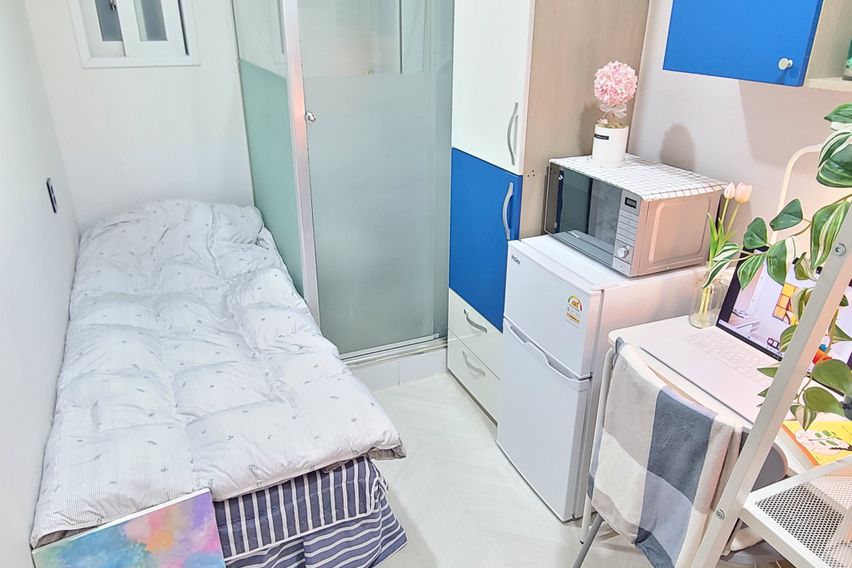 227스테이 -스탠다드