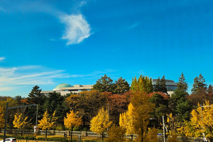 국회의사당역🌈여의도