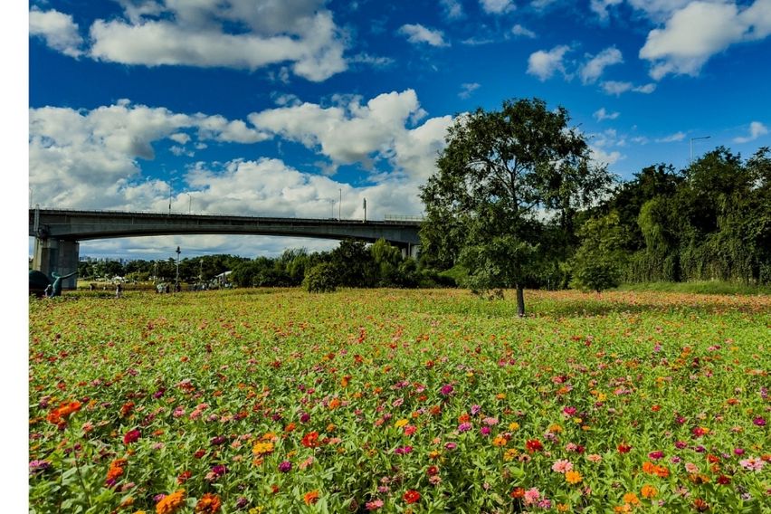 덕소역도보2분풀옵션산책 6번째 이미지