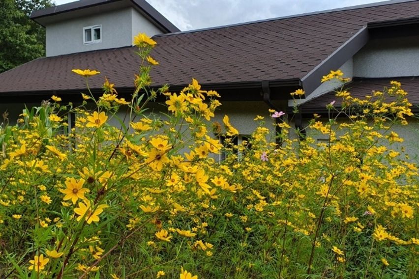 한적한 시골 편백나무집 4번째 이미지