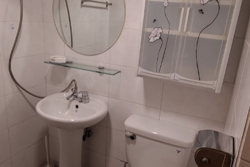 🌳계대룸룸🌸