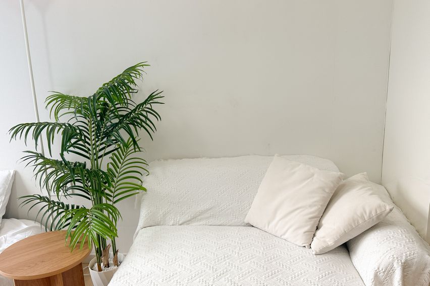 오픈특가🧡강남역초역세