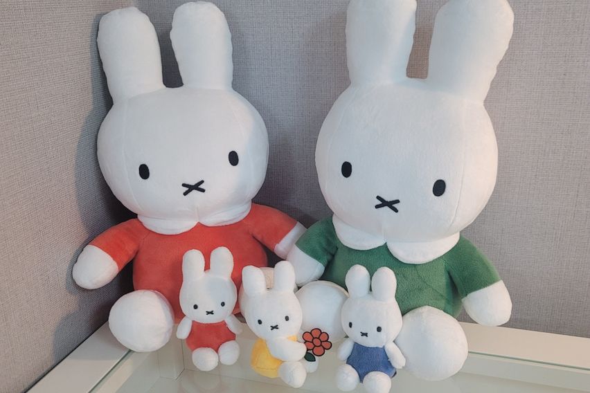 주엽역.대화역❤️17평 17번째 이미지