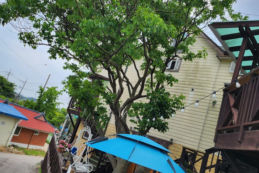  깅화도  오션뷰 첸션