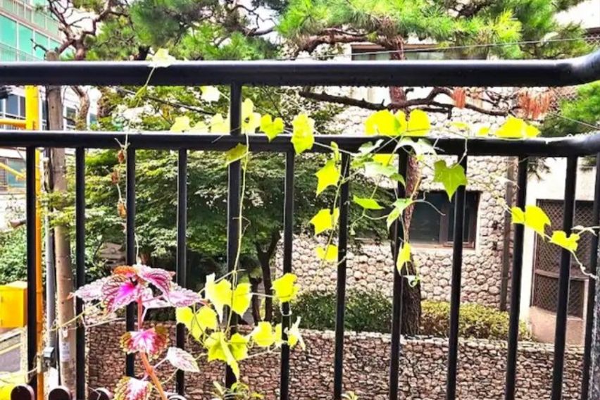 서초동 교대 근처