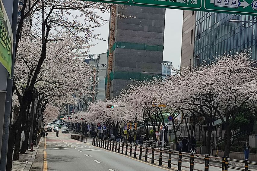 강남역삼역외창미니룸18
