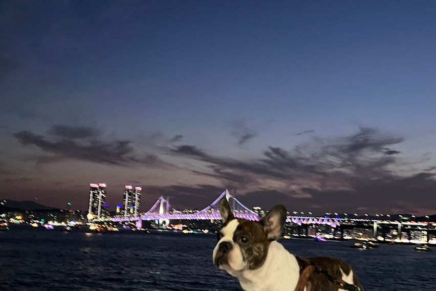 부산 해운대 패밀리