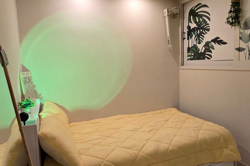 기억의정원_아늑한집🪴