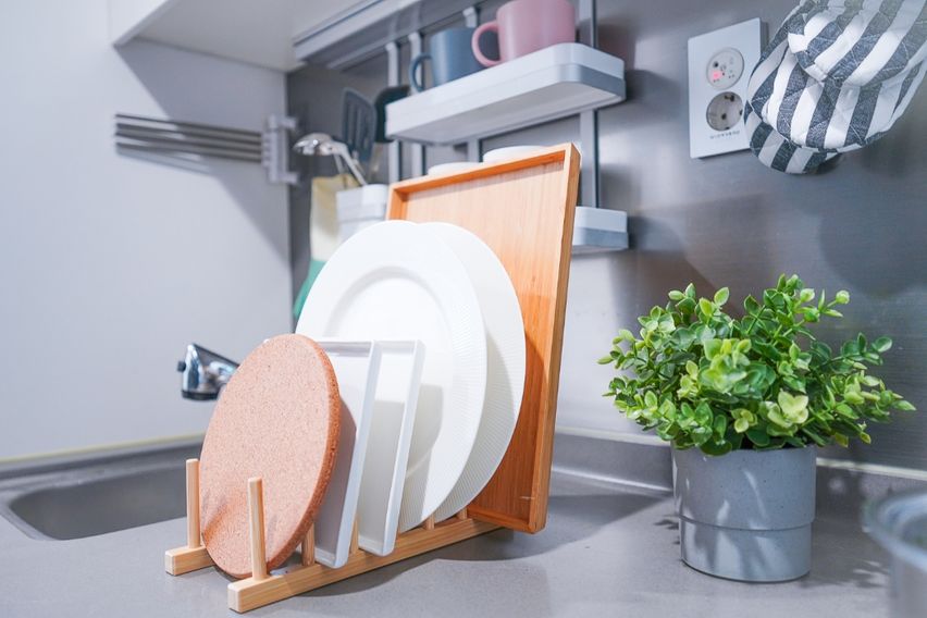 미금/정자🐕댕냥이OK