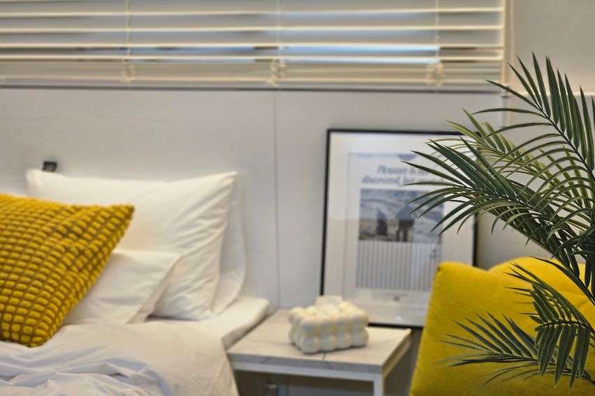 스테이인 202 2번째 이미지