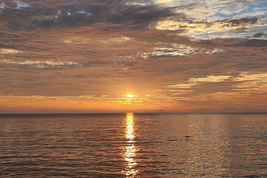 강화도. 펜션 시그너스