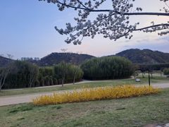 태화강국가정원과우정혁신 16번째 이미지