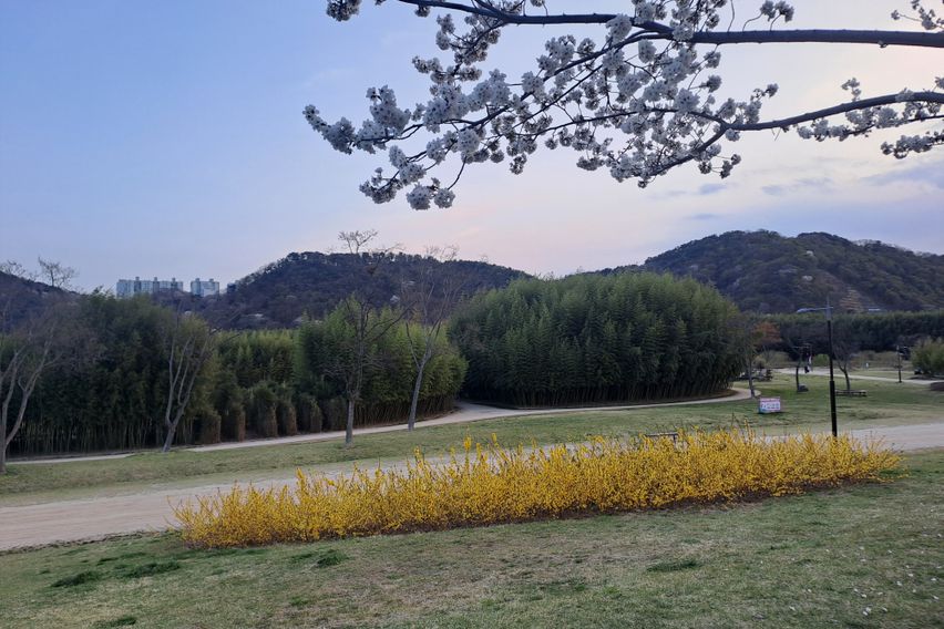 태화강국가정원과우정혁신