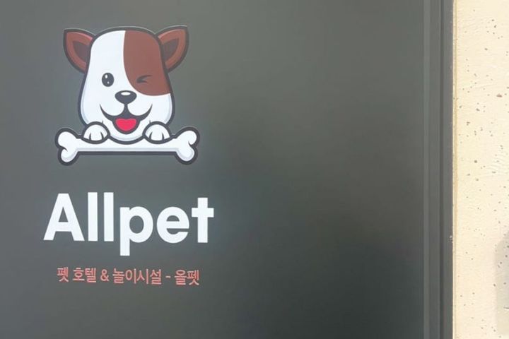 서면애견동반호텔 12번째 이미지