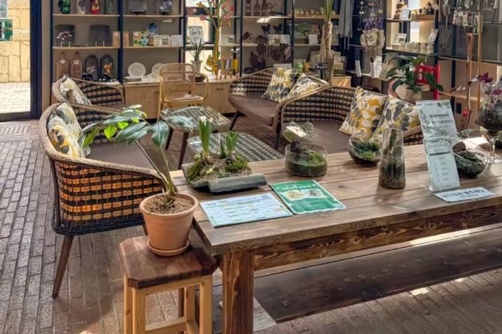 y1[넷플/엘베] 15번째 이미지