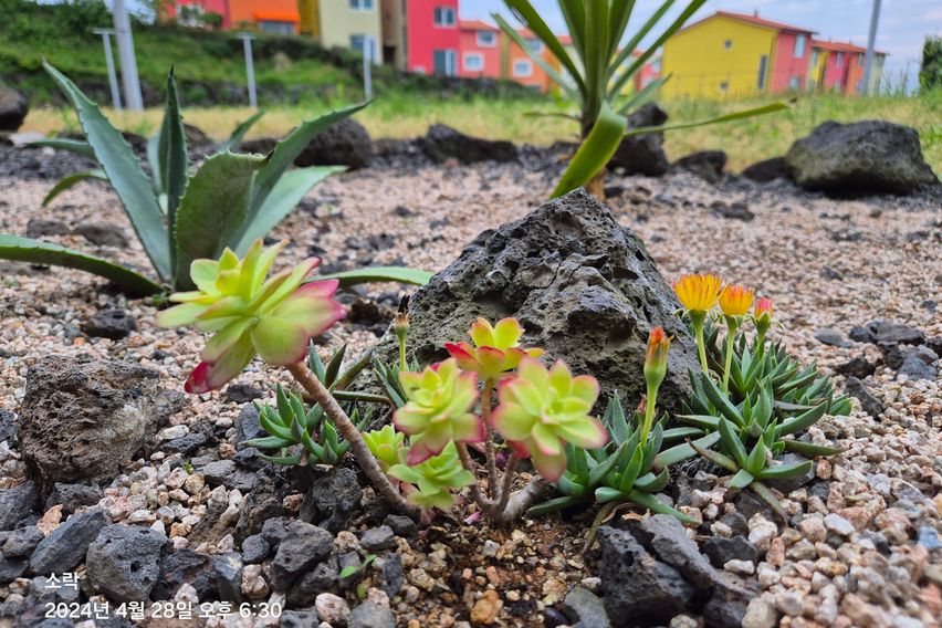 언덕에서보는바다뷰2층