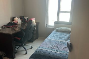 조용한한숲