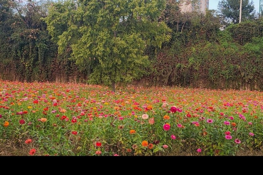 덕소역도보2분풀옵션산책 5번째 이미지