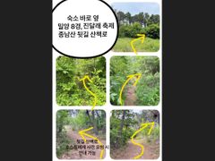 밀양시내주변 스테이꿈 19번째 이미지