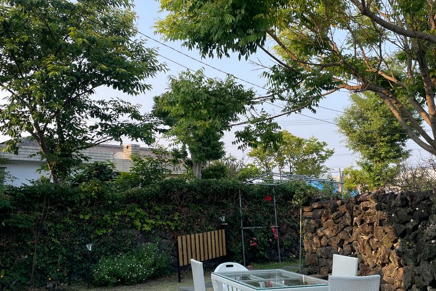 (제주시조천읍)제주돌담 1번째 이미지