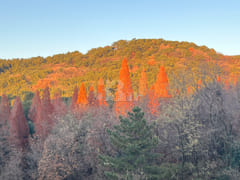 창원 숲뷰 아파트,풀옵 1번째 이미지