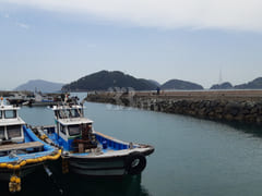 #2 Salt & Fish 11th image