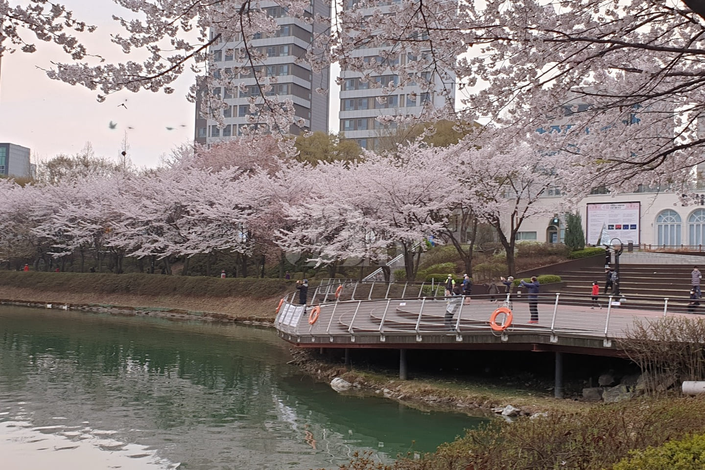 Lotte World Seokchon Lake View 19th image