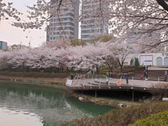 Lotte World Seokchon Lake View 19th image