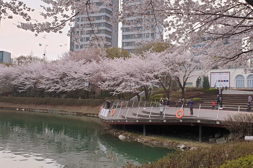 롯데월드 석촌호수 뷰