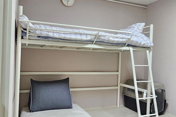 힐링 산림욕 바다 둘이 9번째 이미지