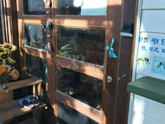 sun room 13th image