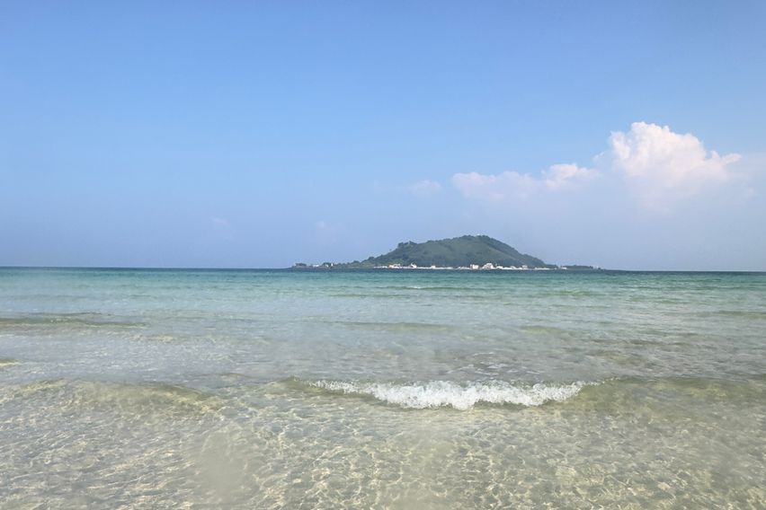 달밭 스탠다드 9번째 이미지