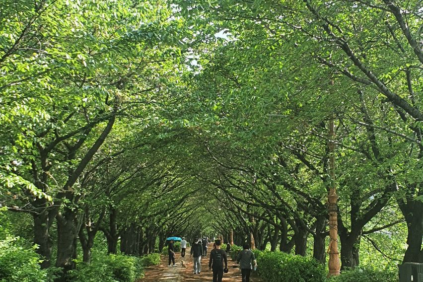 🌈3분역세권❤리모델링❤ 12번째 이미지