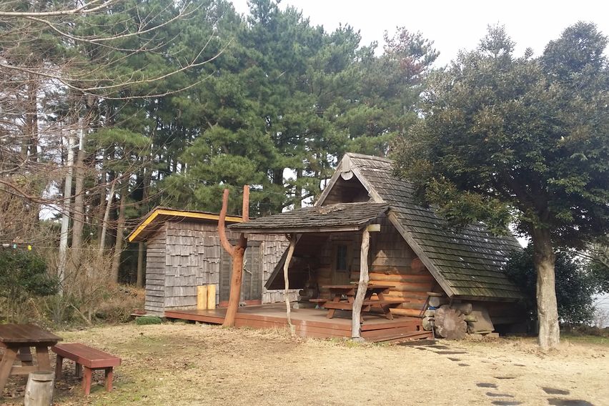 애월소길리나뭇잎사이로