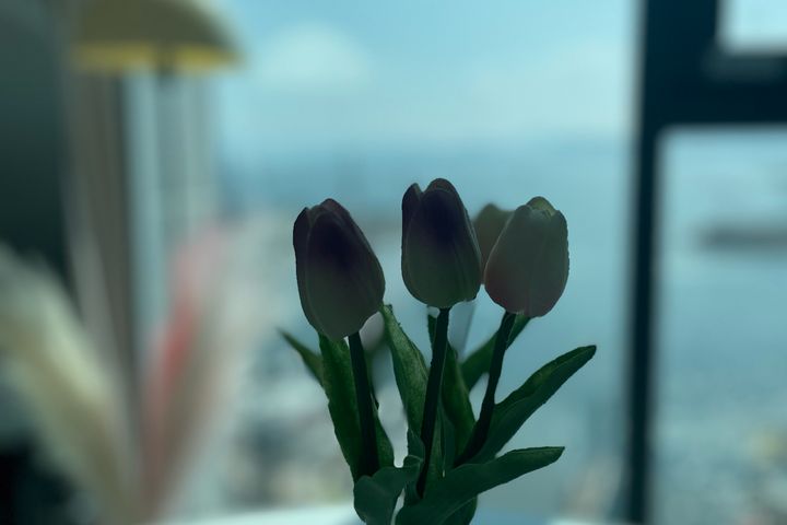 마이애미비치 15번째 이미지