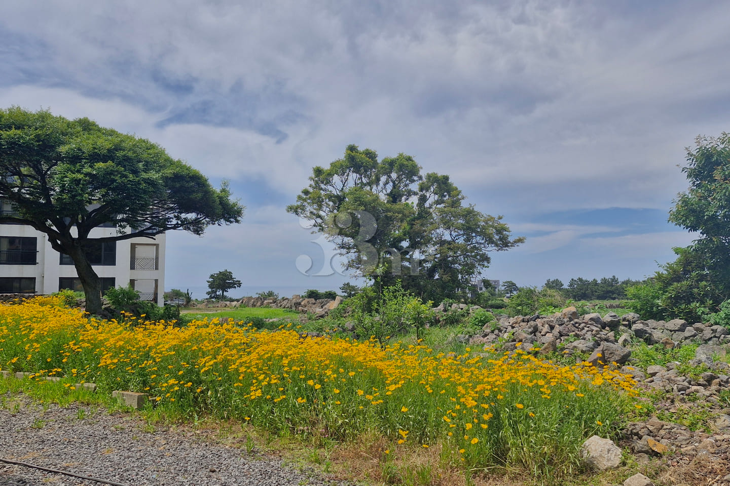 Ocean-view studio in Aewol, Jeju 15th image