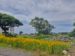 Ocean-view studio in Aewol, Jeju 15th image