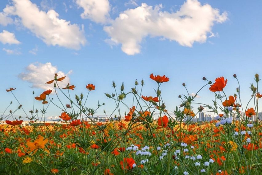 덕소역도보2분풀옵션산책 7번째 이미지