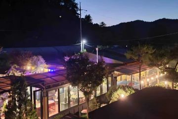 오렌지동
