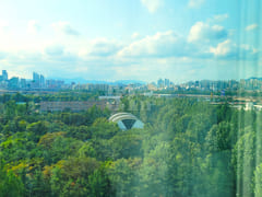 대청역 삼성병원 대치동 16번째 이미지