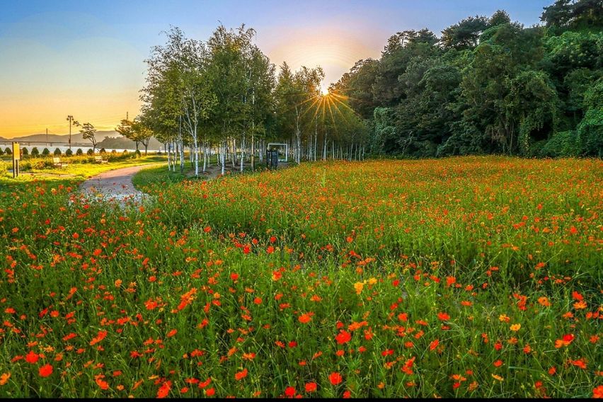 덕소역도보2분풀옵션산책 8번째 이미지