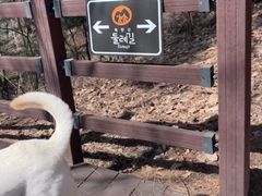여름특가💙🏡빛의숲@정 19번째 이미지