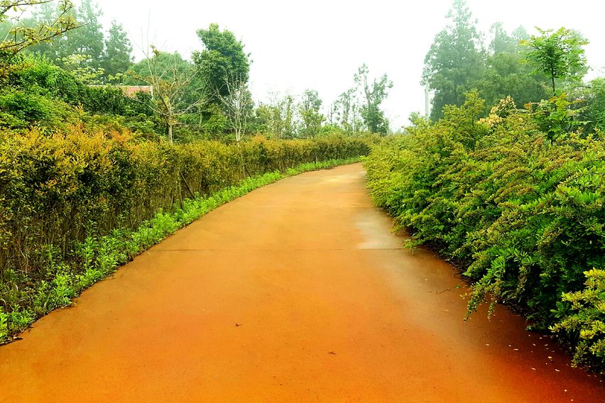 아담한 2룸형 독채-B