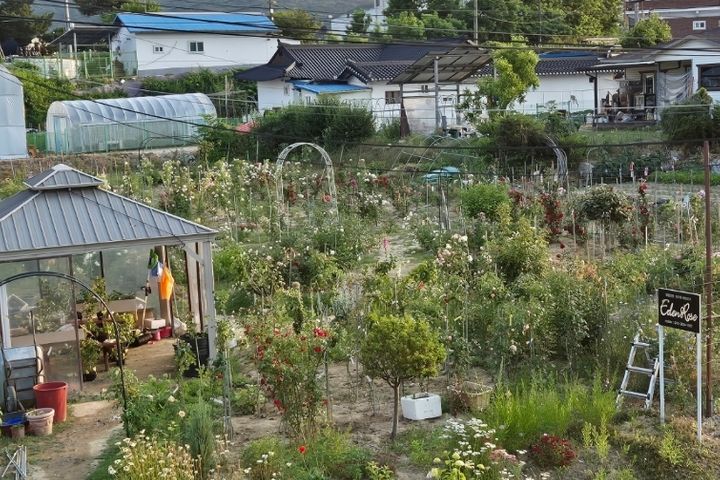 장미밭 농가주택독채 14번째 이미지